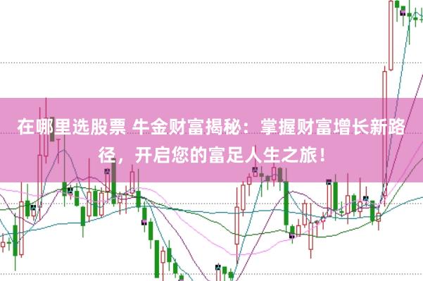 在哪里选股票 牛金财富揭秘：掌握财富增长新路径，开启您的富足人生之旅！