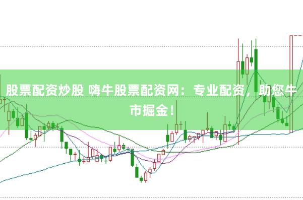 股票配资炒股 嗨牛股票配资网：专业配资，助您牛市掘金！