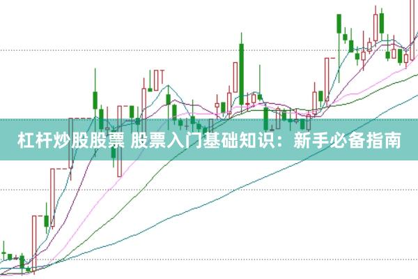 杠杆炒股股票 股票入门基础知识：新手必备指南