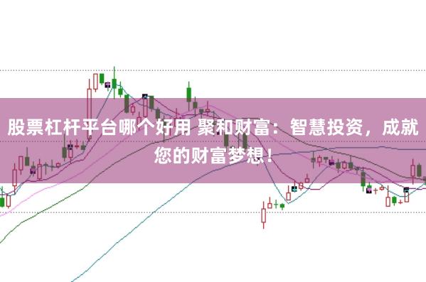 股票杠杆平台哪个好用 聚和财富：智慧投资，成就您的财富梦想！
