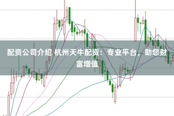 配资公司介绍 杭州天牛配资：专业平台，助您财富增值