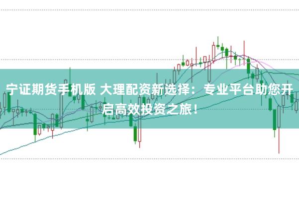 宁证期货手机版 大理配资新选择：专业平台助您开启高效投资之旅！