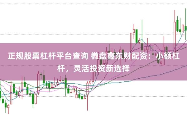 正规股票杠杆平台查询 微盘鑫东财配资：小额杠杆，灵活投资新选择