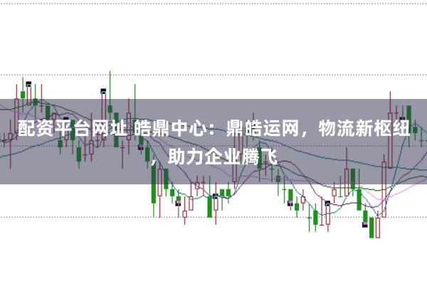 配资平台网址 皓鼎中心：鼎皓运网，物流新枢纽，助力企业腾飞