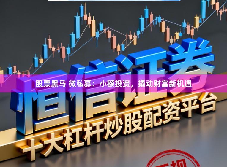 股票黑马 微私募：小额投资，撬动财富新机遇